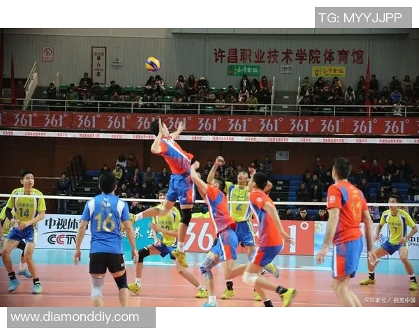 武汉排球队的力量变革引发热议展现团队精神与竞技魅力 武汉排球队的力量变革引发热议展现团队精神与竞技魅力