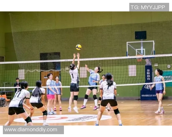 深圳排球队的节奏与风采：聚焦排球运动的魅力与发展